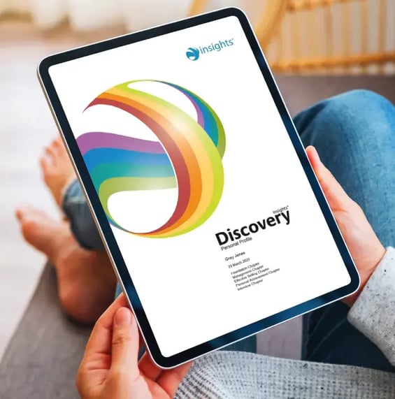 Insights Discovery Personality Assessment For Teams